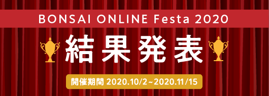 BONSAI ONLINE Festa2020