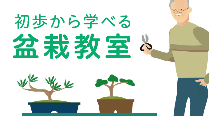 TOPページ | 盆栽、盆栽書籍、盆栽鉢の通販│近代出版