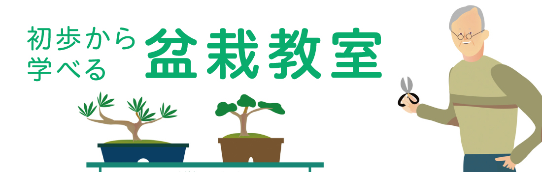 盆栽専科これが盆栽だ 見方・楽しみ方/自然の友社