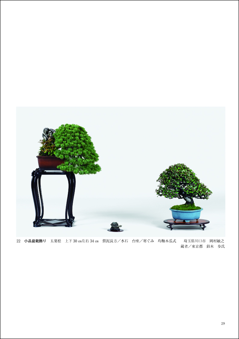 第48回 日本盆栽作風展 記念帖 | 盆栽、盆栽書籍、盆栽鉢の通販