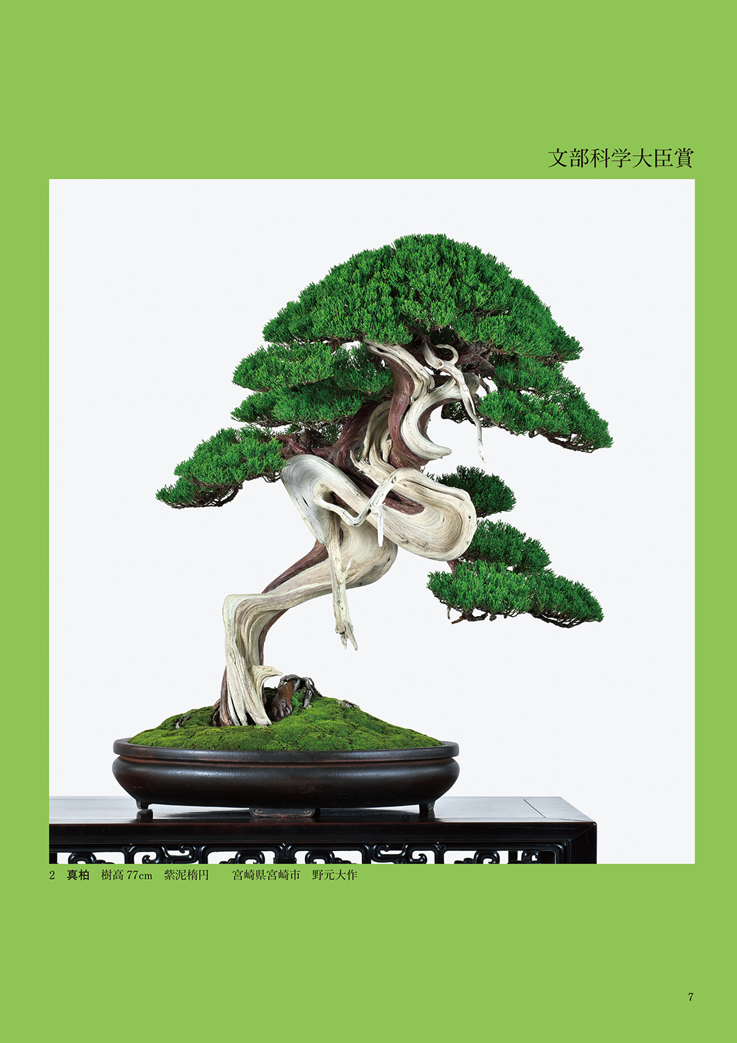 第49回 日本盆栽作風展 記念帖 | 盆栽、盆栽書籍、盆栽鉢の通販│近代出版 第49回 日本盆栽作風展 記念帖 | 盆栽、盆栽書籍、盆栽鉢の通販│近代出版