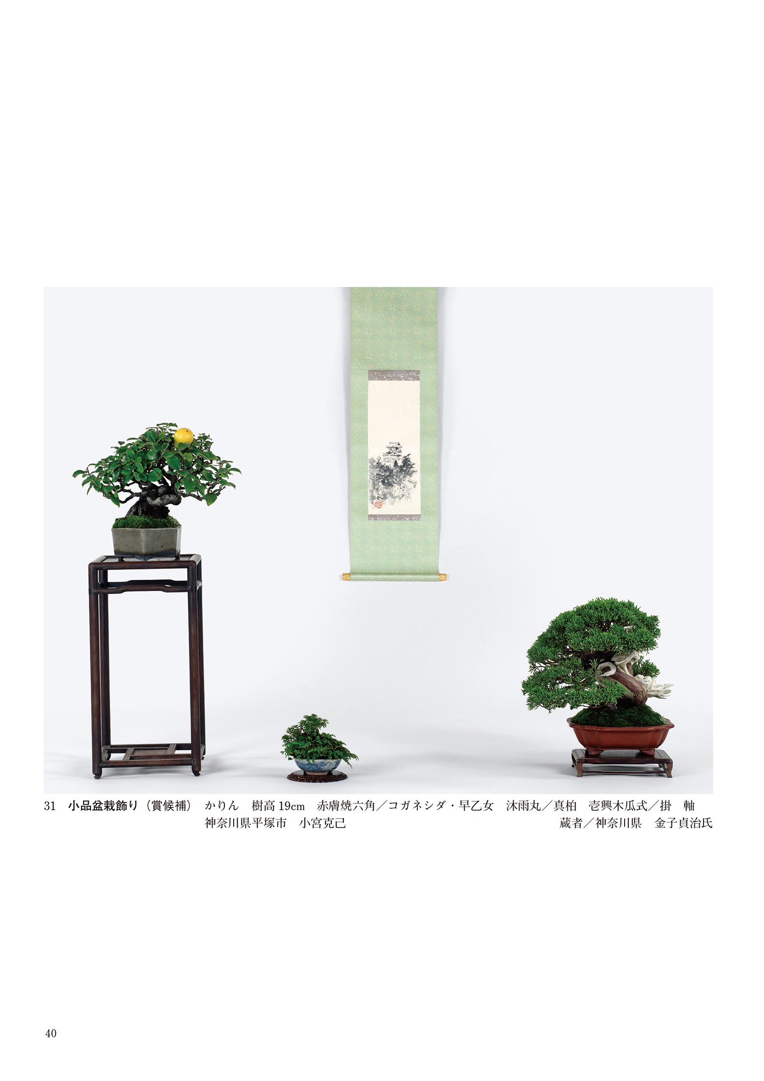 第49回 日本盆栽作風展 記念帖 | 盆栽、盆栽書籍、盆栽鉢の通販