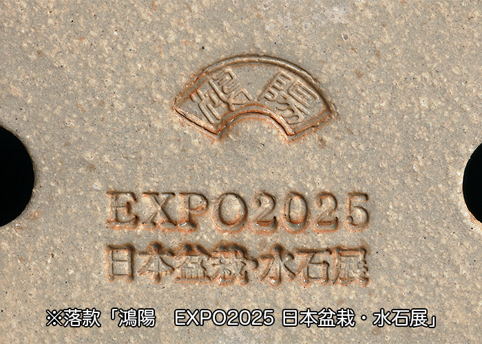 鴻陽織部釉外縁雲足長方鉢 | 盆栽、盆栽書籍、盆栽鉢の通販│近代出版