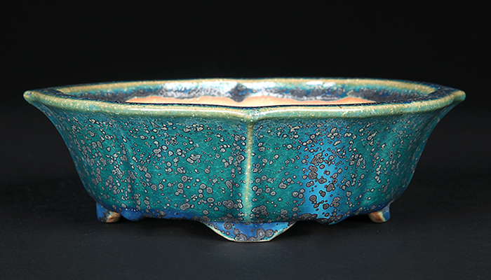 鴻陽織部釉剣木瓜式鉢 | 盆栽、盆栽書籍、盆栽鉢の通販│近代出版