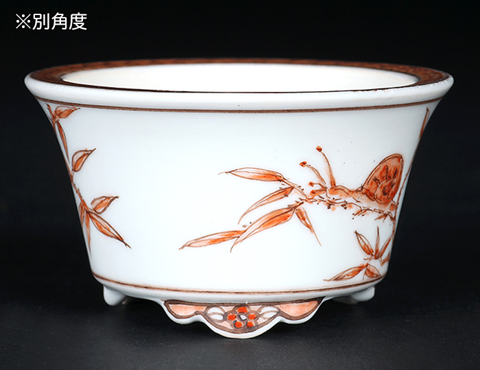 月之輪正泉赤絵蝸牛図丸鉢 | 盆栽、盆栽書籍、盆栽鉢の通販│近代出版