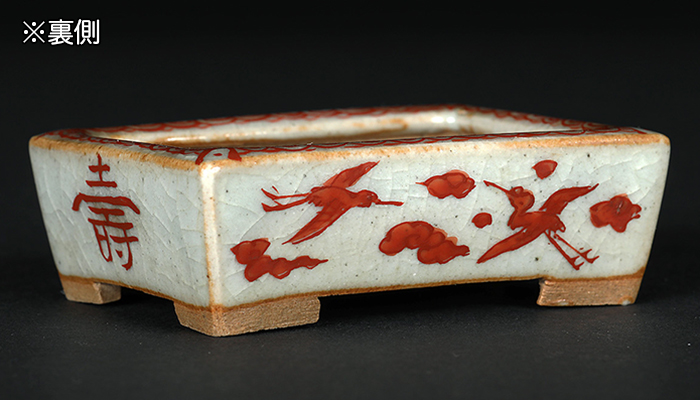 稚松愛草赤絵長方鉢 | 盆栽、盆栽書籍、盆栽鉢の通販│近代出版