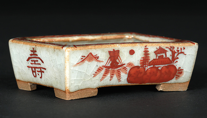 稚松愛草赤絵長方鉢 | 盆栽、盆栽書籍、盆栽鉢の通販│近代出版