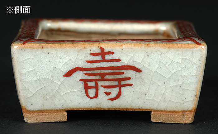 稚松愛草赤絵長方鉢 | 盆栽、盆栽書籍、盆栽鉢の通販│近代出版