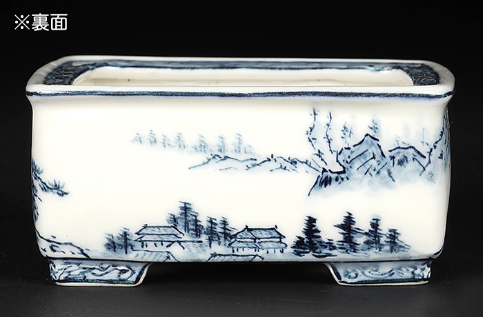 裕峰 盆器 盆栽鉢 植木鉢 尾張裕峯染付長方鉢 | 盆栽、盆栽書籍、盆栽鉢の通販│近代出版