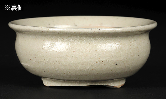 是好色絵鳥図丸鉢 | 盆栽、盆栽書籍、盆栽鉢の通販│近代出版