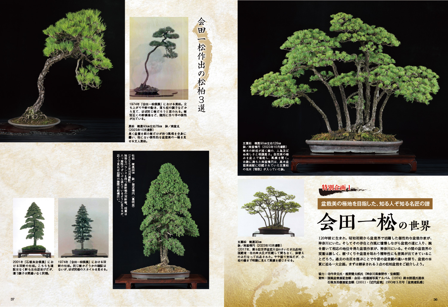 月刊「近代盆栽」2024年3月号 ※電子版のみ | 盆栽、盆栽書籍