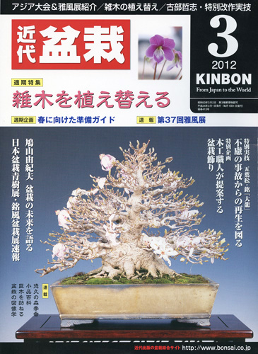 月刊「近代盆栽」2012年3月号