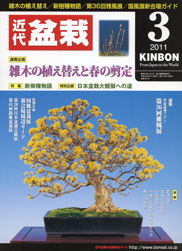 月刊「近代盆栽」2011年3月号