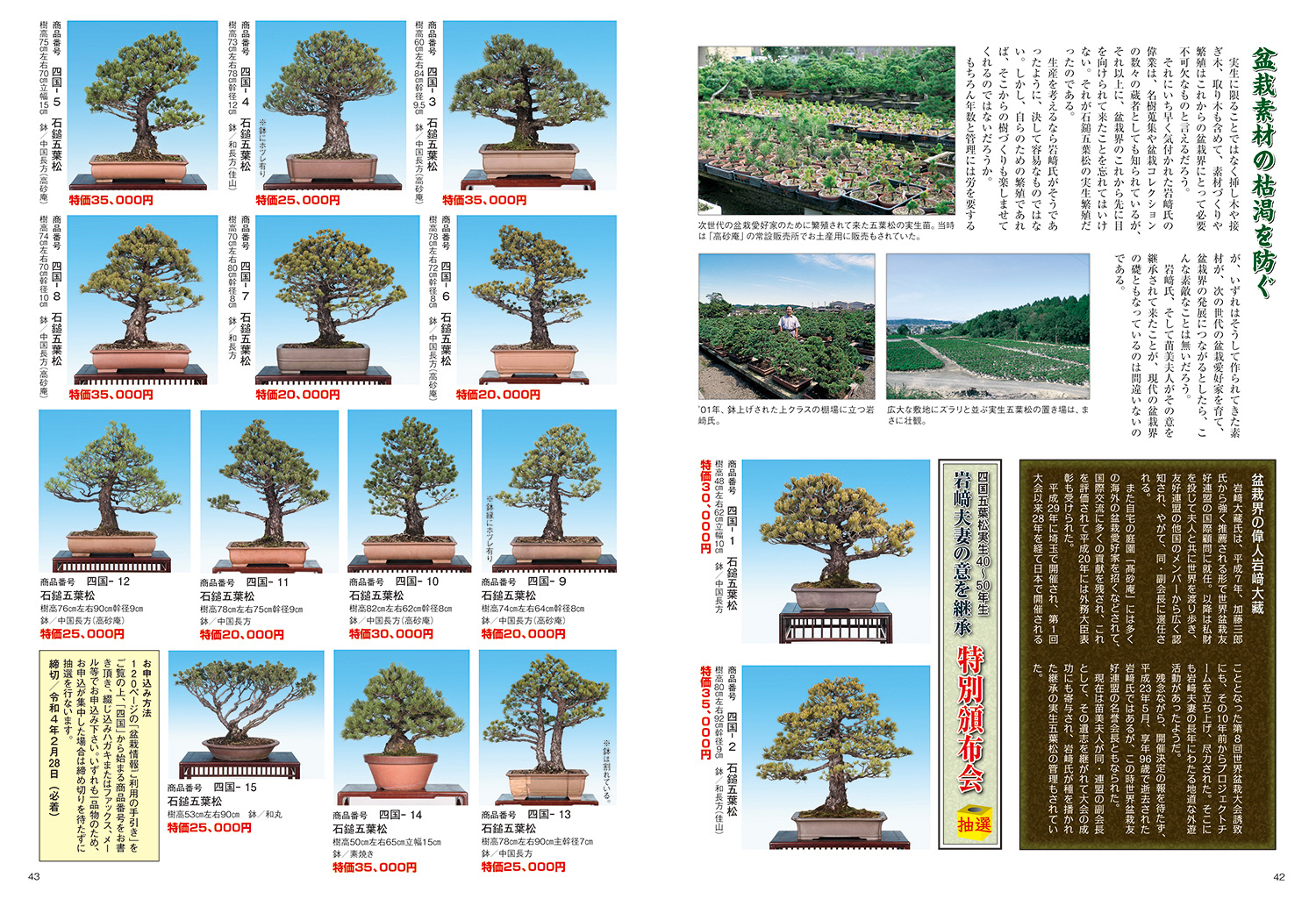 楽天市場】書籍 本 盆栽専門誌「盆器大図鑑 上巻」盆栽鉢 図鑑