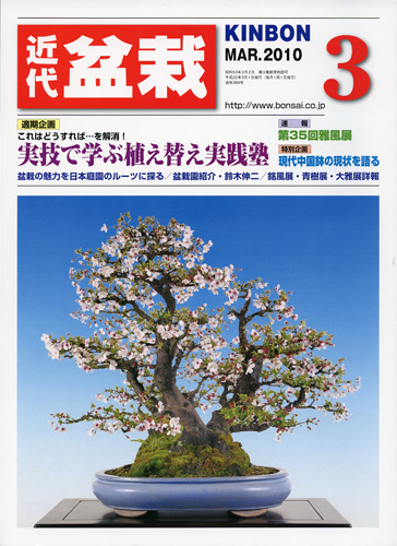月刊「近代盆栽」2010年3月号