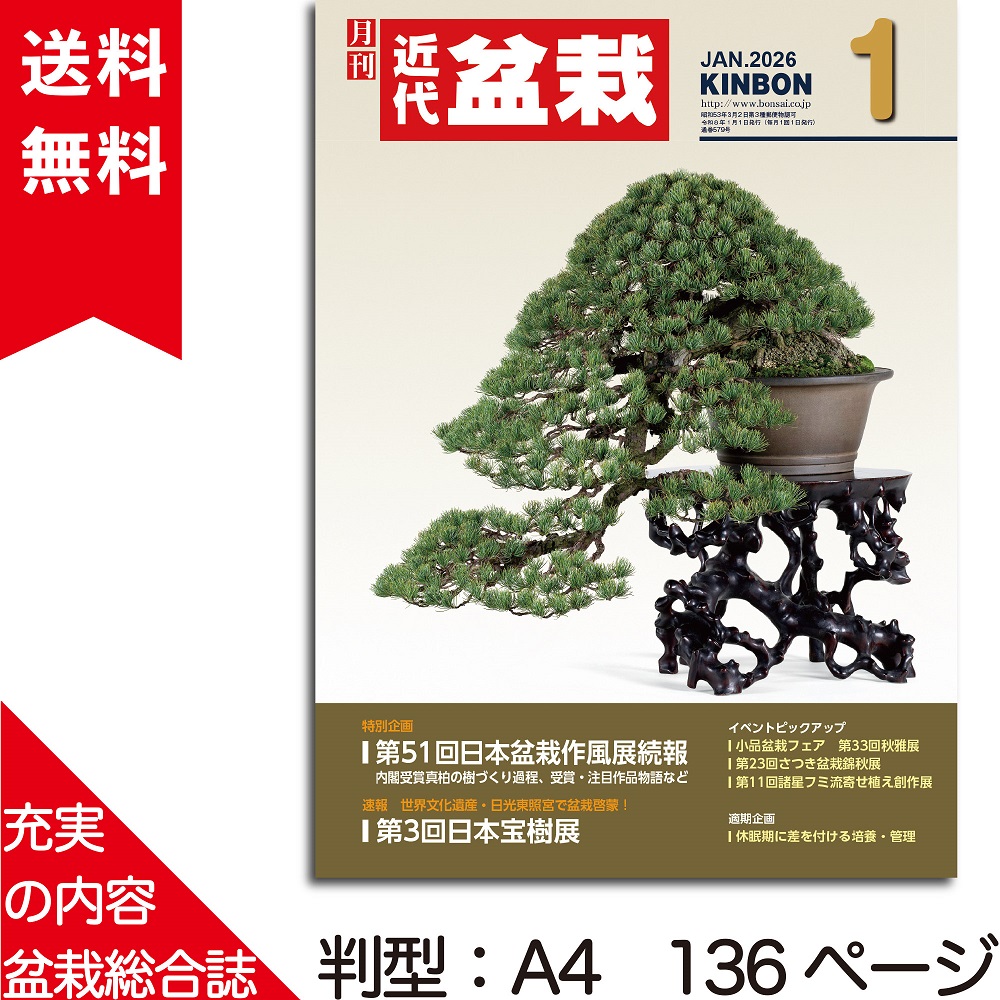 月刊「近代盆栽」 | 盆栽、盆栽書籍、盆栽鉢の通販│近代出版