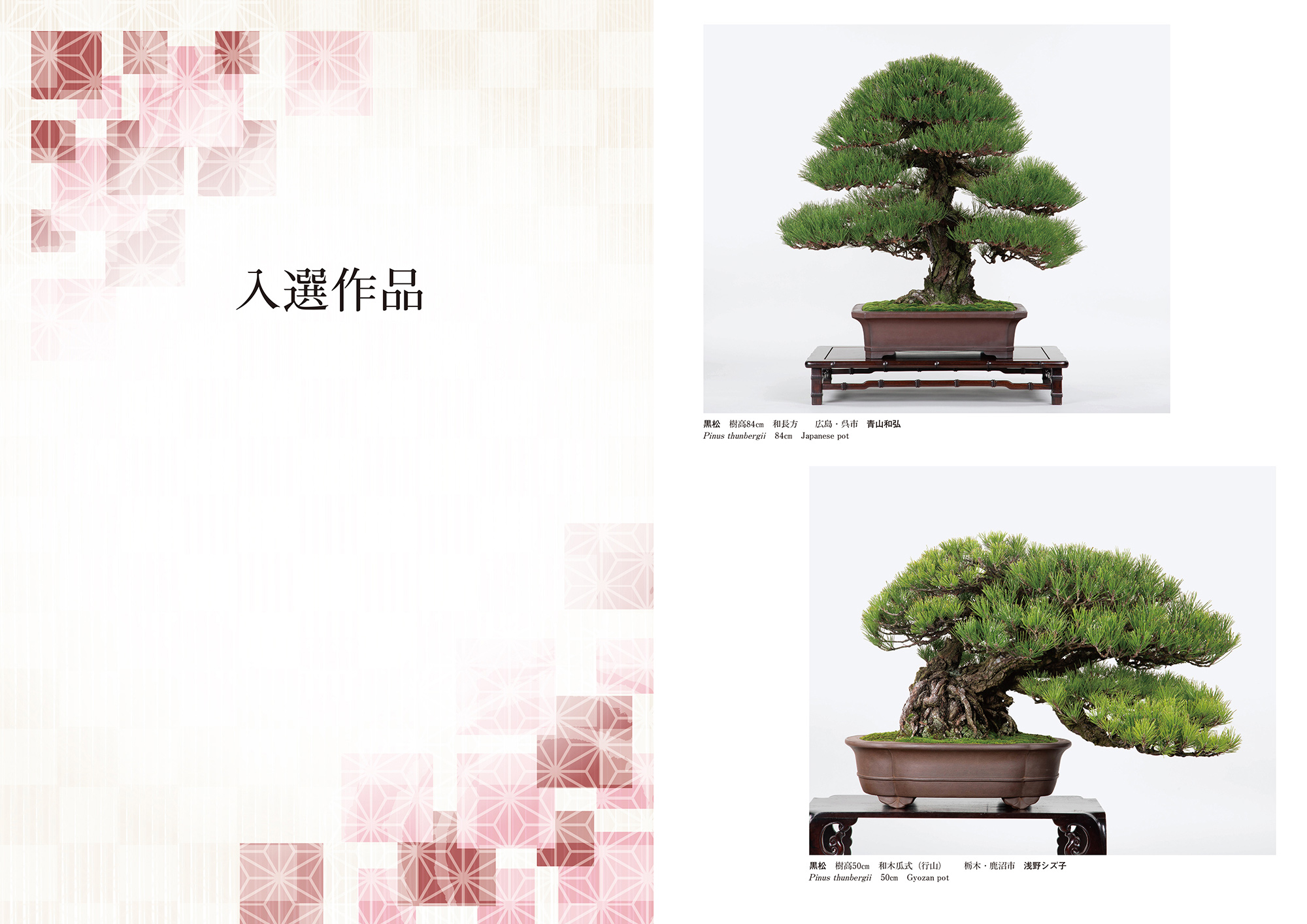 Profile for 日本盆景協会 Japanese Association of Bonkei Art
