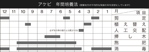 一才あけび 盆栽 盆栽書籍 盆栽鉢の通販 近代出版