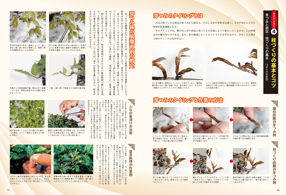 月刊「近代盆栽」2021年4月号 | 盆栽、盆栽書籍、盆栽鉢の通販 月刊「近代盆栽」2021年4月号 | 盆栽、盆栽書籍、盆栽鉢の通販