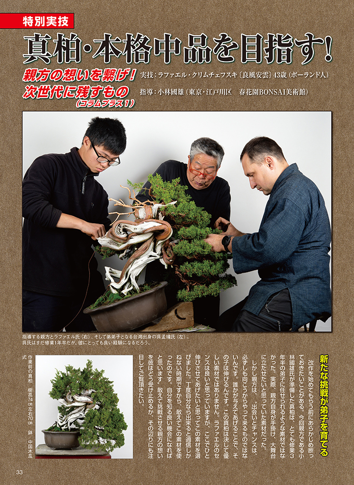 月刊「近代盆栽」2022年4月号 | 盆栽、盆栽書籍、盆栽鉢の通販