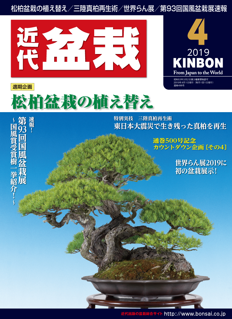 自然と盆栽 バックナンバー