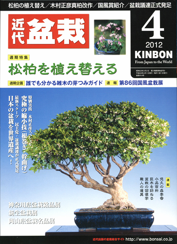 月刊「近代盆栽」2012年4月号