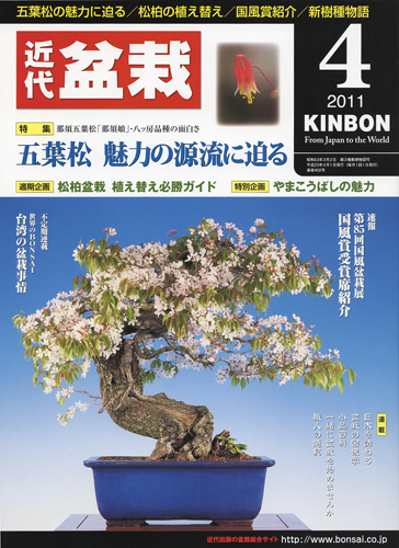 月刊「近代盆栽」2011年4月号