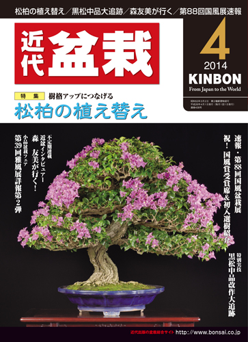 月刊「近代盆栽」2014年4月号