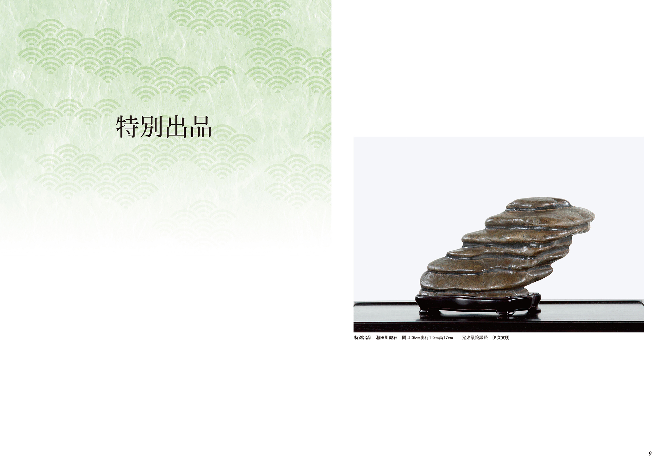 第42回 日本盆栽大観展 記念帖 | 盆栽、盆栽書籍、盆栽鉢の通販