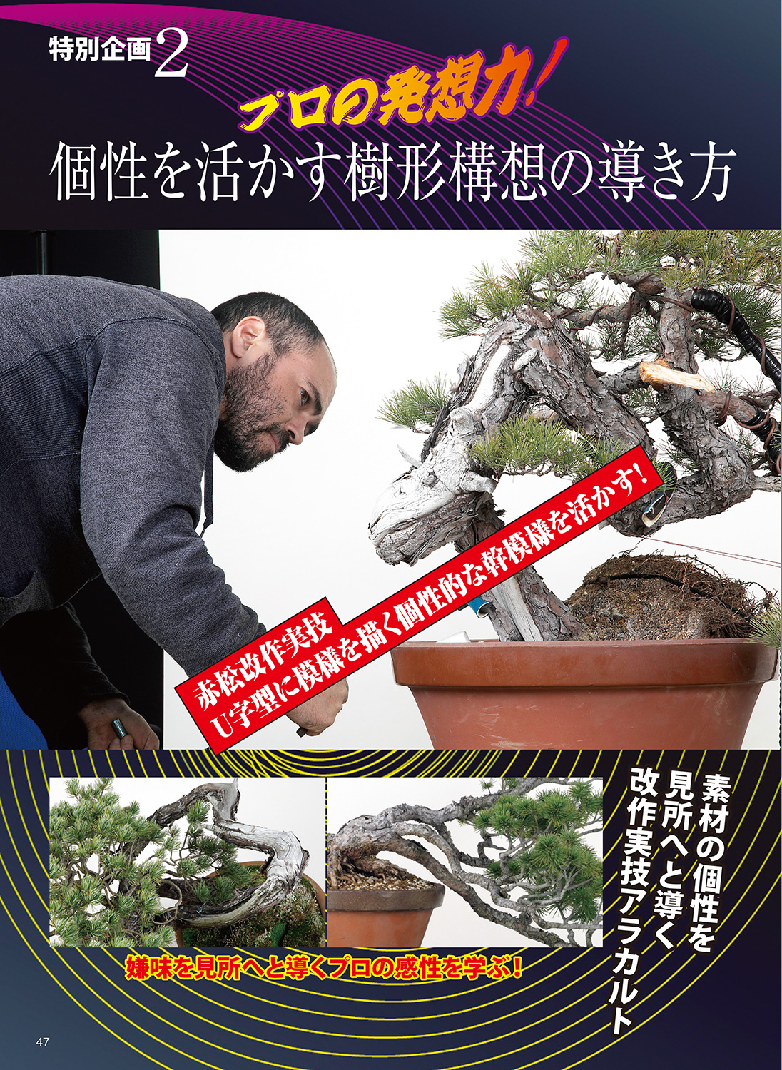 楽天市場】書籍 本 盆栽専門誌「盆栽素材大変身コツのコツ」創作