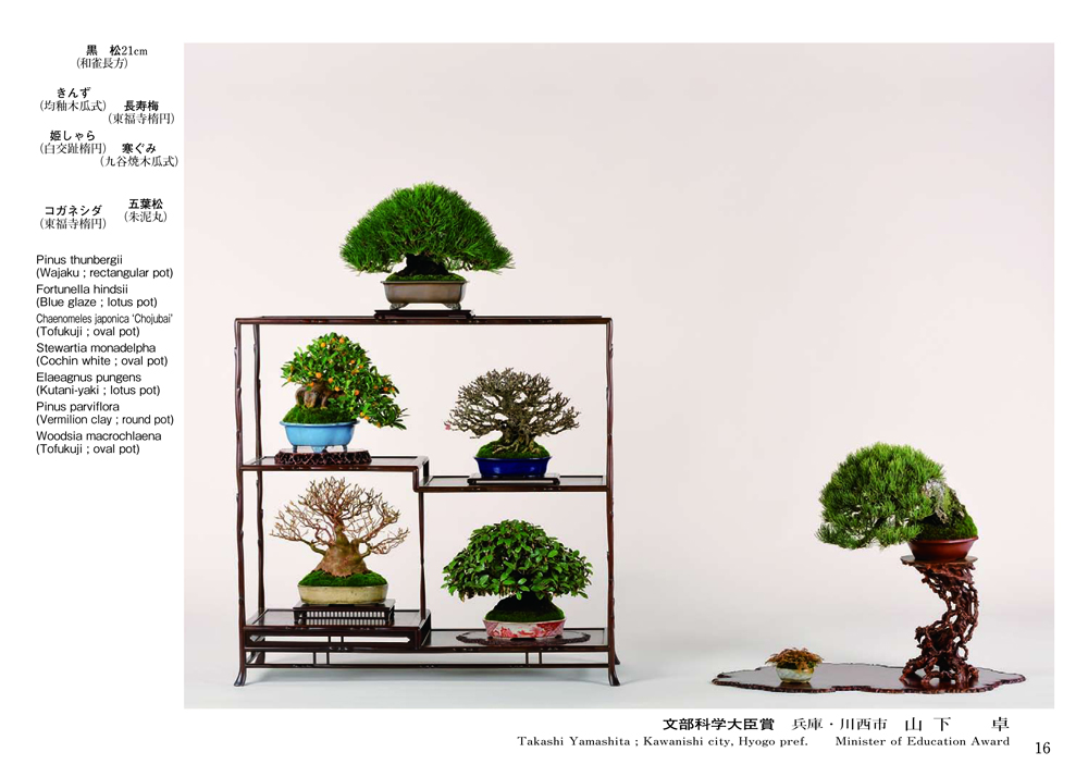 雪の豪奢 第46回 雅風展記念帖 盆栽、盆栽書籍、盆栽鉢の通販│近代出版 | 盆栽