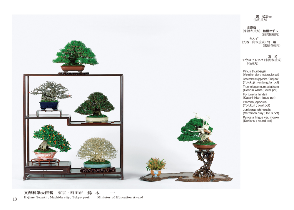 第44回 雅風展記念帖 | 盆栽、盆栽書籍、盆栽鉢の通販│近代出版