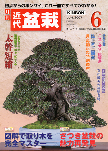 月刊「近代盆栽」2007年6月号
