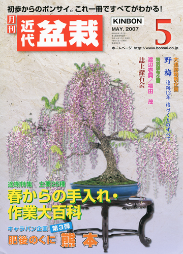 月刊「近代盆栽」2007年5月号