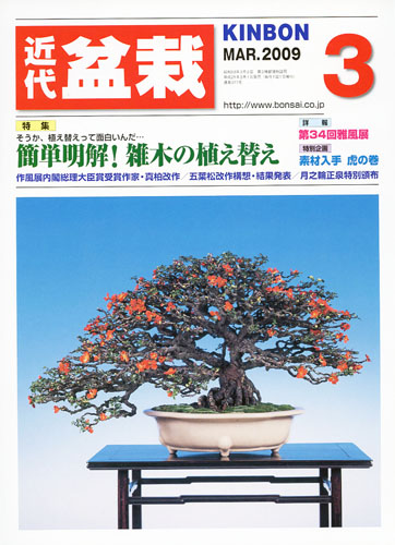 月刊「近代盆栽」2009年3月号