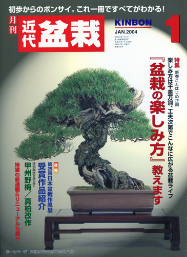 月刊「近代盆栽」2004年1月号