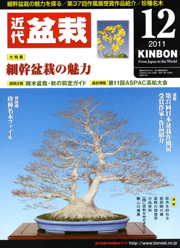 月刊「近代盆栽」2011年12月号