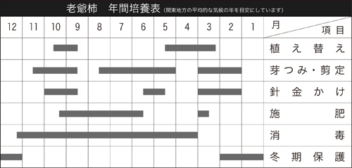 老爺柿(雄木) | 盆栽、盆栽書籍、盆栽鉢の通販│近代出版 老爺柿(雄木) | 盆栽、盆栽書籍、盆栽鉢の通販│近代出版