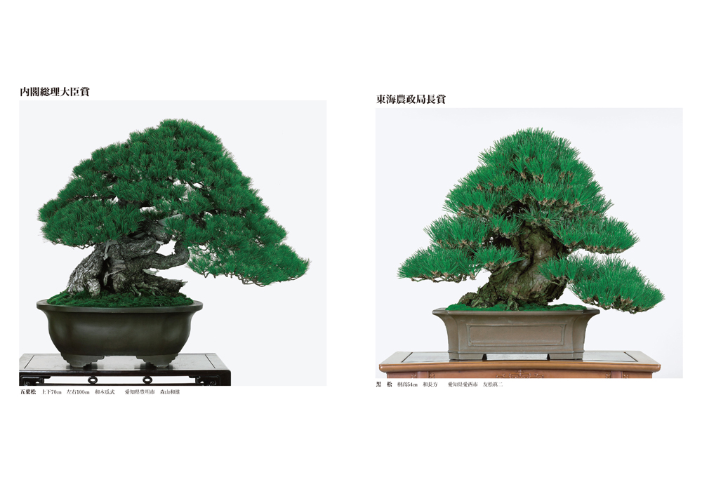 第90回 銘風盆栽展 記念帖 | 盆栽、盆栽書籍、盆栽鉢の通販│近代出版