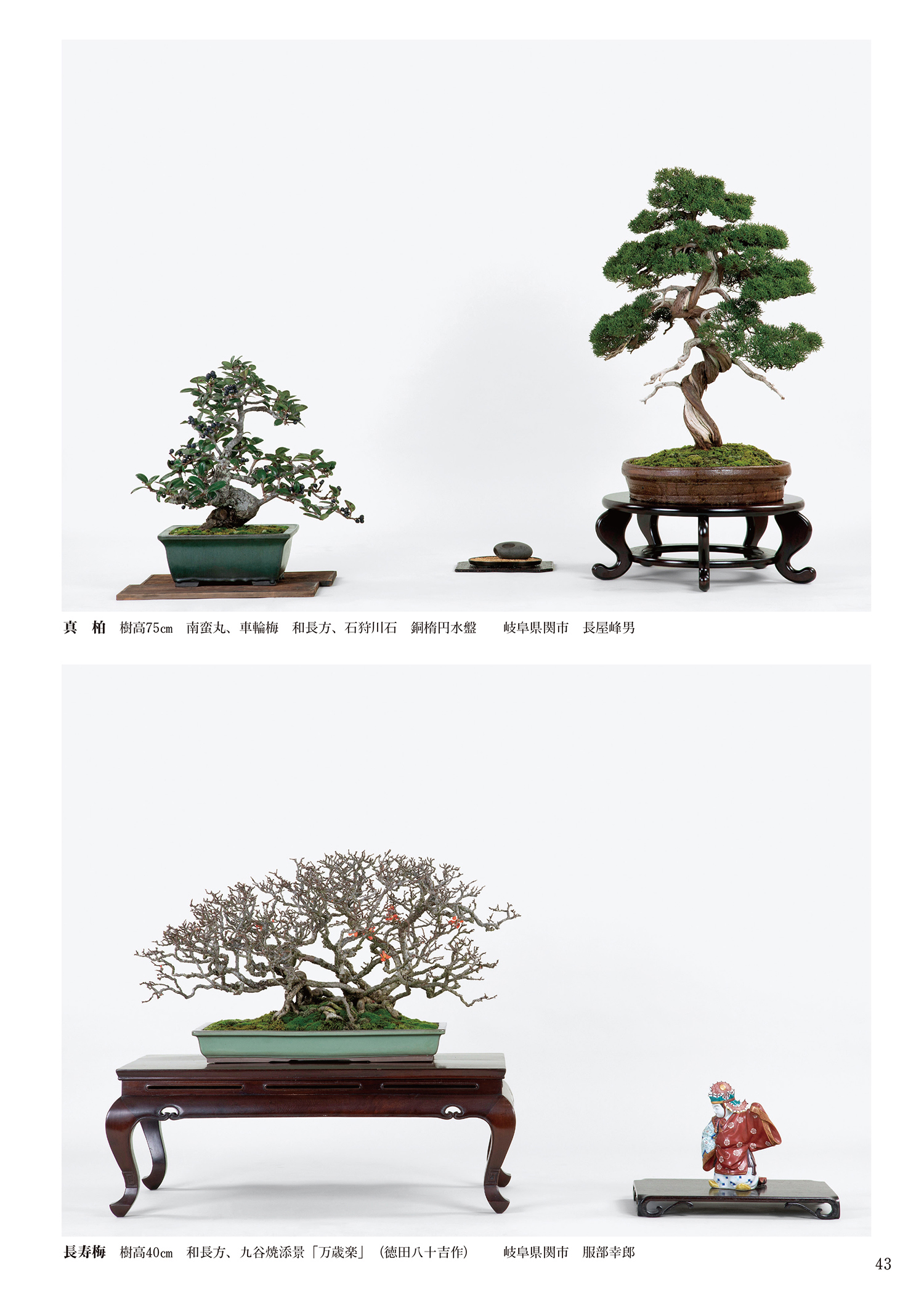 第92回 銘風盆栽展 記念帖 | 盆栽、盆栽書籍、盆栽鉢の通販│近代出版