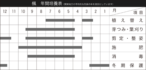 宮様楓 | 盆栽、盆栽書籍、盆栽鉢の通販│近代出版 宮様楓 | 盆栽、盆栽書籍、盆栽鉢の通販│近代出版