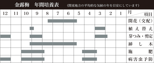金露梅 | 盆栽、盆栽書籍、盆栽鉢の通販│近代出版 金露梅 | 盆栽、盆栽書籍、盆栽鉢の通販│近代出版