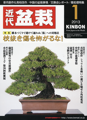 月刊「近代盆栽」2013年1月号