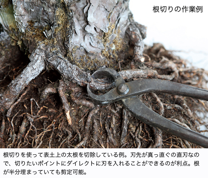根切鋏 (大) | 盆栽、盆栽書籍、盆栽鉢の通販│近代出版