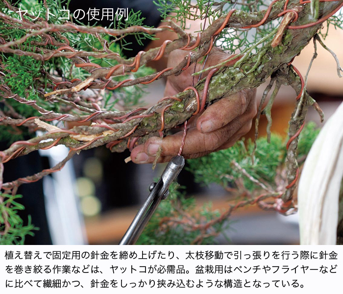 神八床（ジンヤットコ）（小） | 盆栽、盆栽書籍、盆栽鉢の通販│近代出版