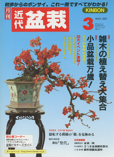 月刊「近代盆栽」2001年3月号