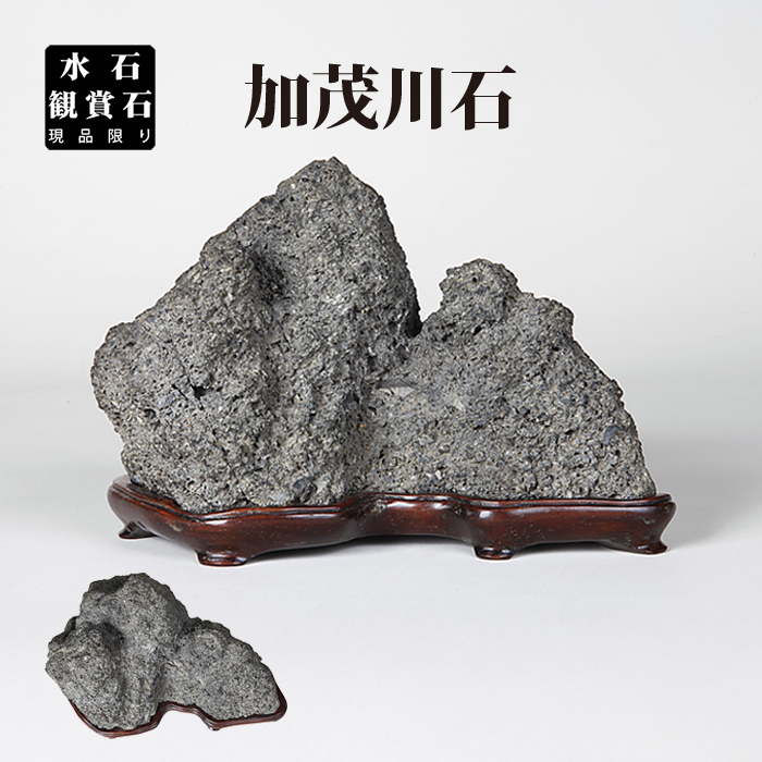 水石 | 盆栽、盆栽書籍、盆栽鉢の通販│近代出版