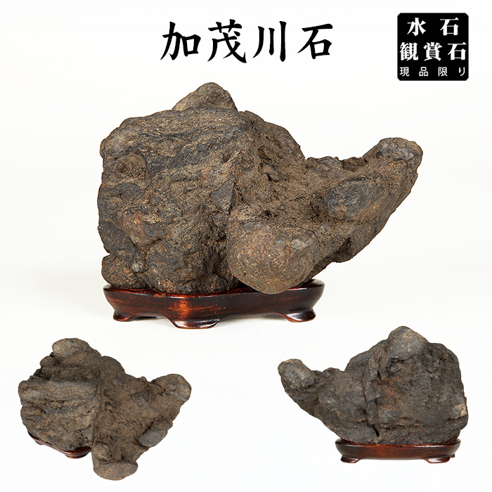 水石 | 盆栽、盆栽書籍、盆栽鉢の通販│近代出版