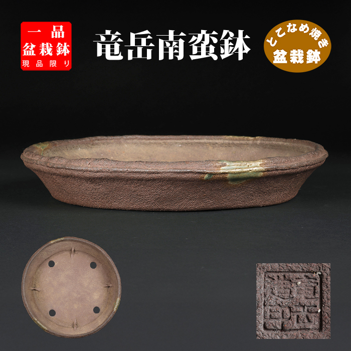 【激安大特価！】 常滑鉢 | 盆栽、盆栽書籍、盆栽鉢の通販│近代出版 フラワー・ガーデニング