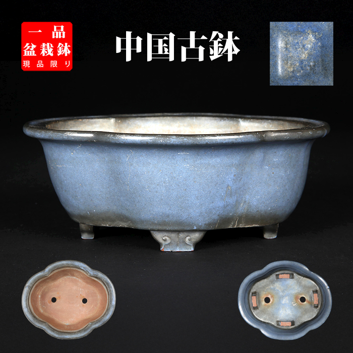 支那鉢(中国古鉢) | 盆栽、盆栽書籍、盆栽鉢の通販│近代出版 支那鉢(中国古鉢) | 盆栽、盆栽書籍、盆栽鉢の通販│近代出版